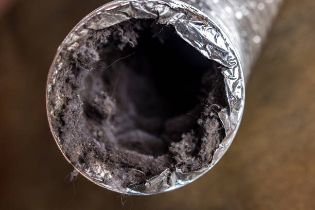 Best Ventilation Cleaning Services  in Eufaula, AL