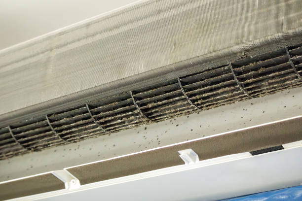 Best Commercial Air Duct Cleaning  in Eufaula, AL