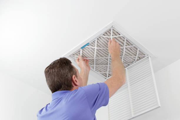 Best Air Duct Sanitizing Services  in Eufaula, AL